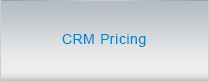 CRM Pricing